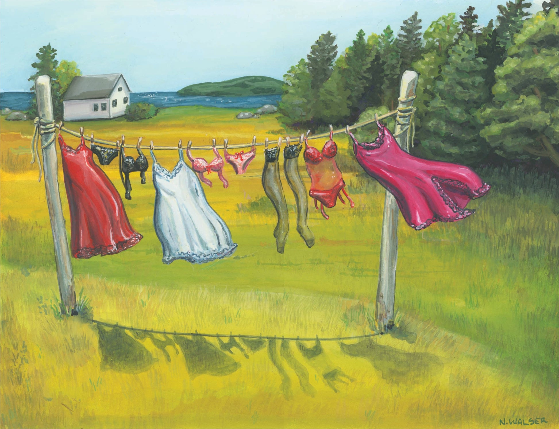 Colorful dresses and lingere hanging on a clothesline in a rural setting with trees and a house in the background.