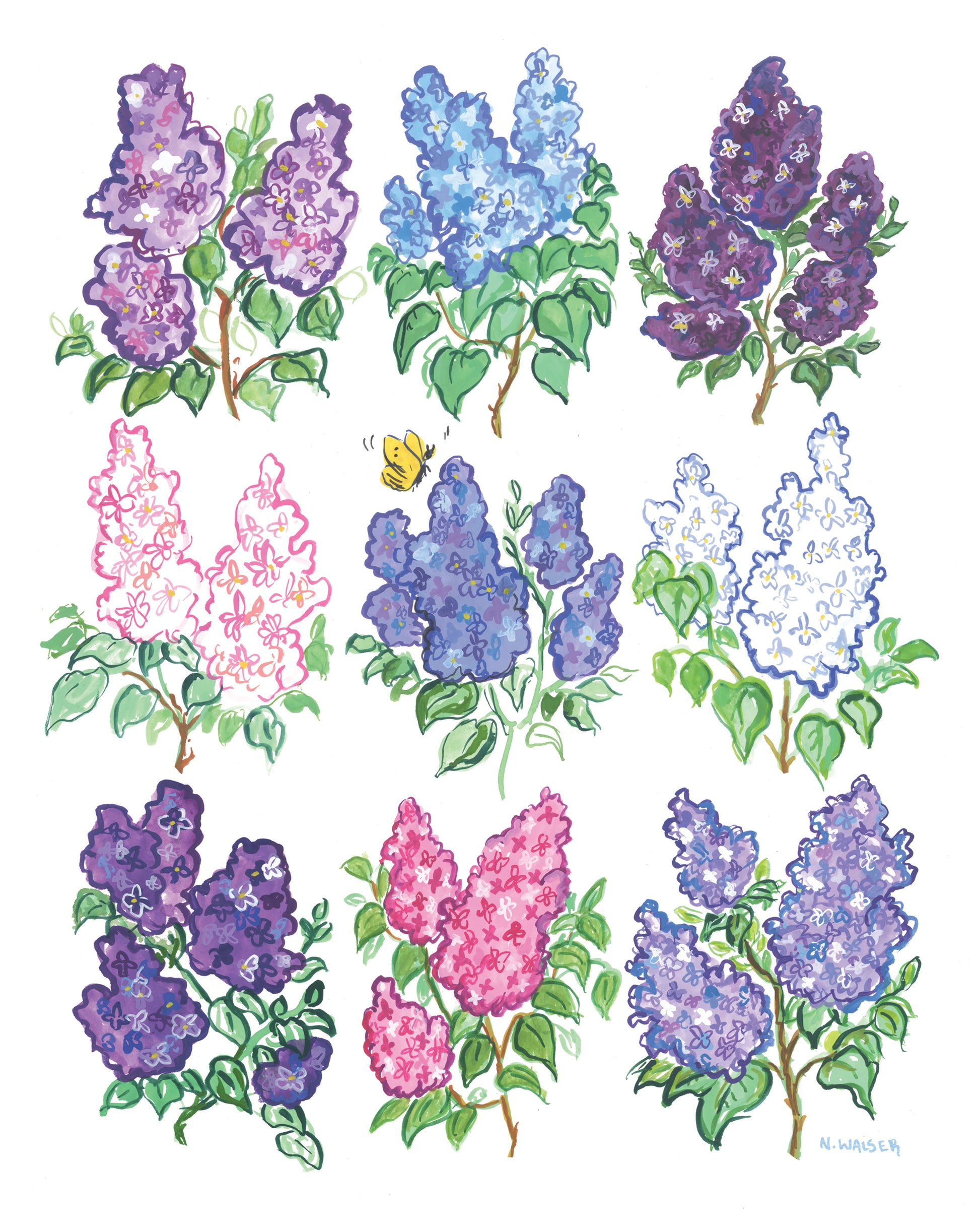 Colorful illustrations of lilac flowers on a white background