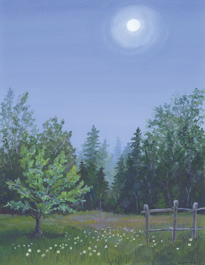 Painting of a moonlit forest with trees and a wooden fence.
