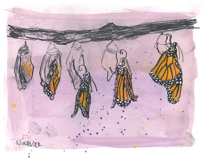 Illustration of butterflies emerging from cocoons on a light purple background