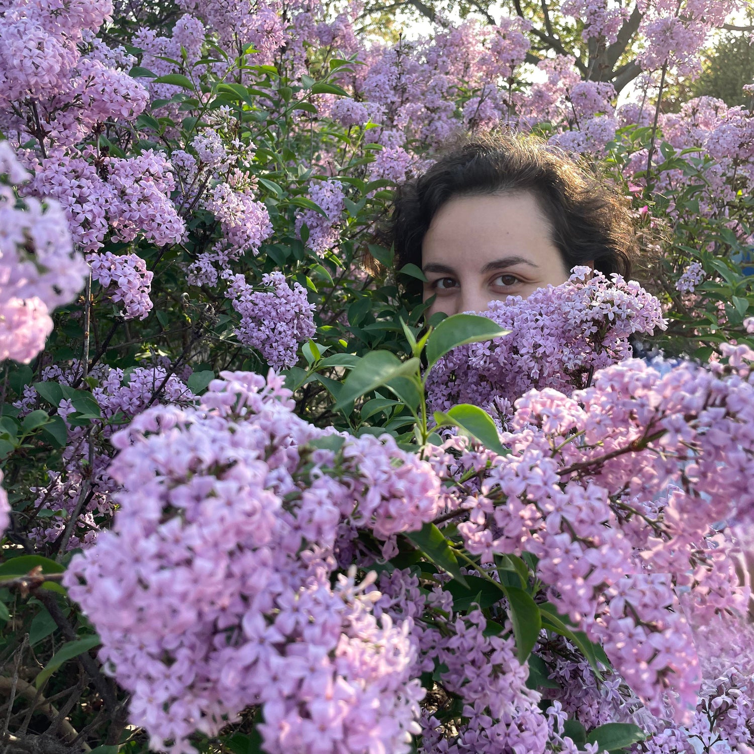 Person surrounded by pink flowers in a natural setting